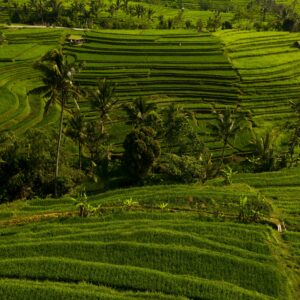 village tour bali