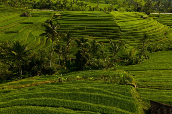 village tour bali